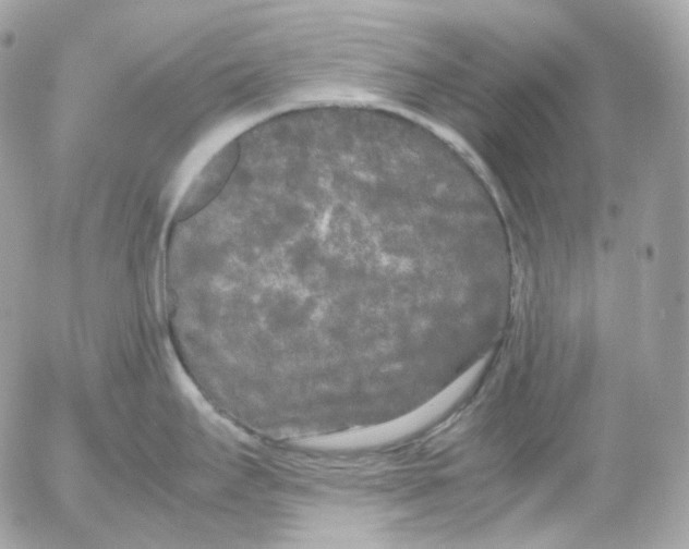 X0000052631295200507221740