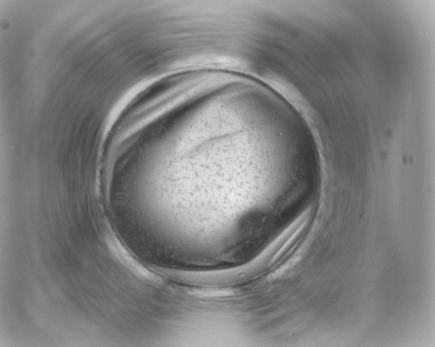 X0000052631296200507221740