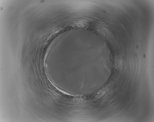 X0000052631297200507221739