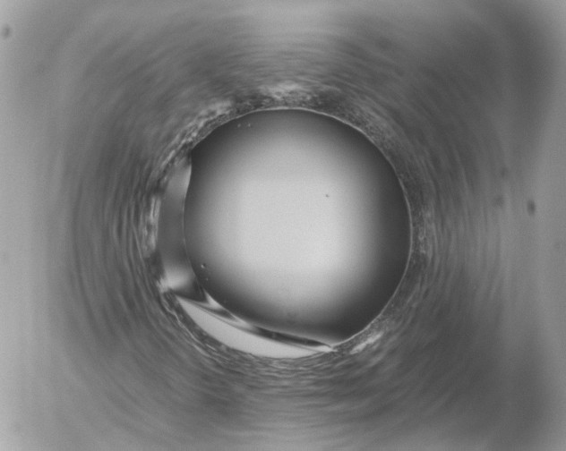 X0000052631298200507221740