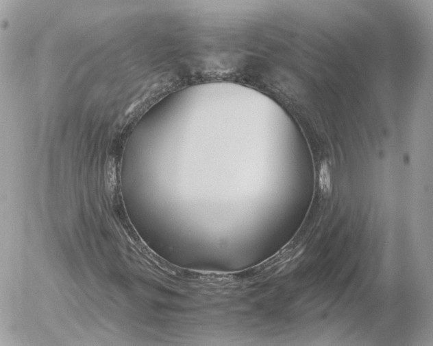 X0000052631299200507221740