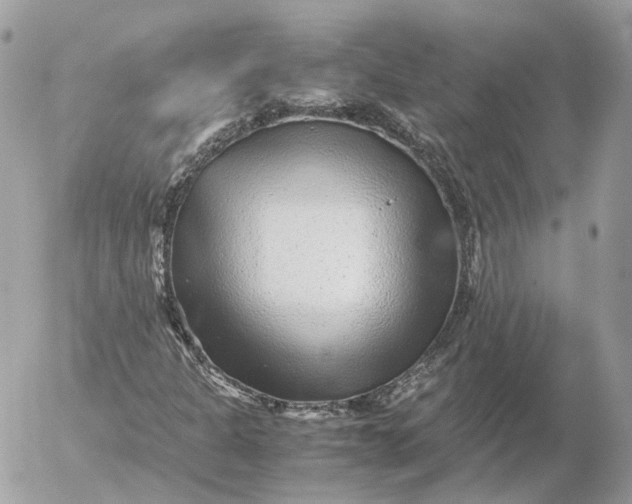 X0000052631301200507221740