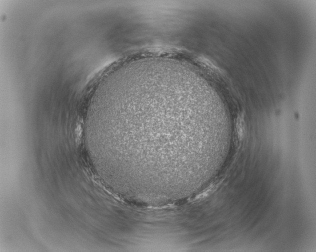 X0000052631302200507221740