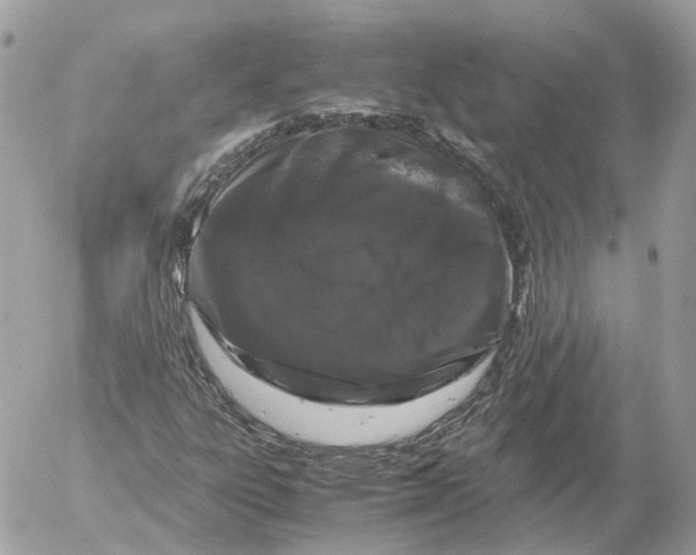 X0000052631303200507221740