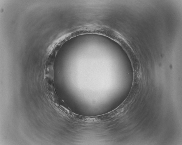 X0000052631304200507221740