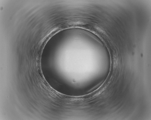 X0000052631305200507221740