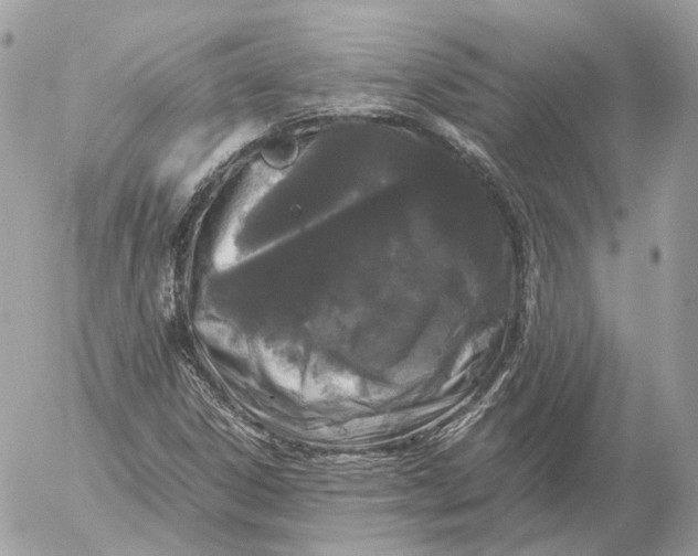 X0000052631306200507221740