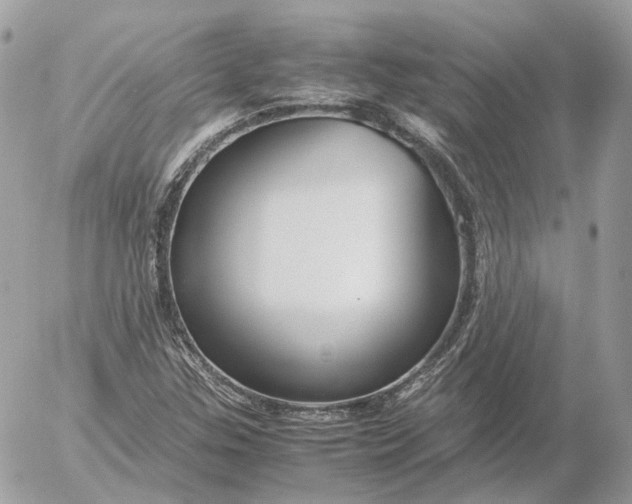 X0000052631307200507221740