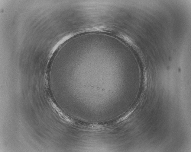 X0000052631308200507221740