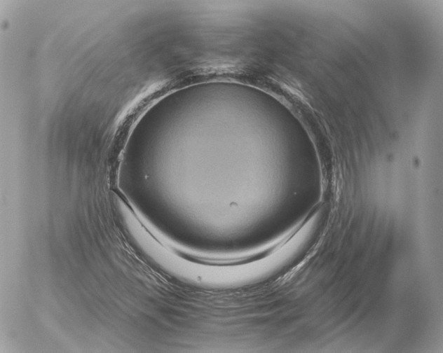 X0000052631309200507221740