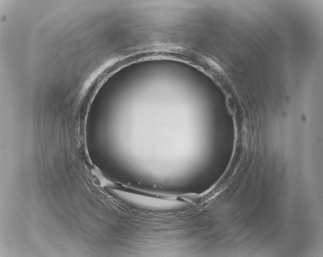 X0000052631310200507221740