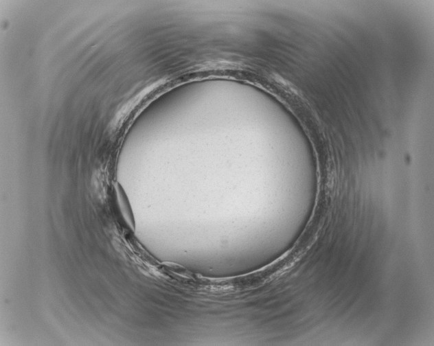 X0000052631313200507221740