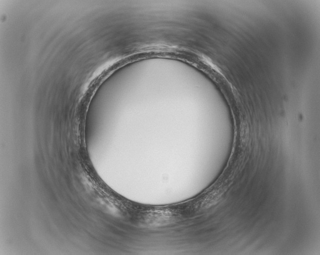 X0000052631315200507221740