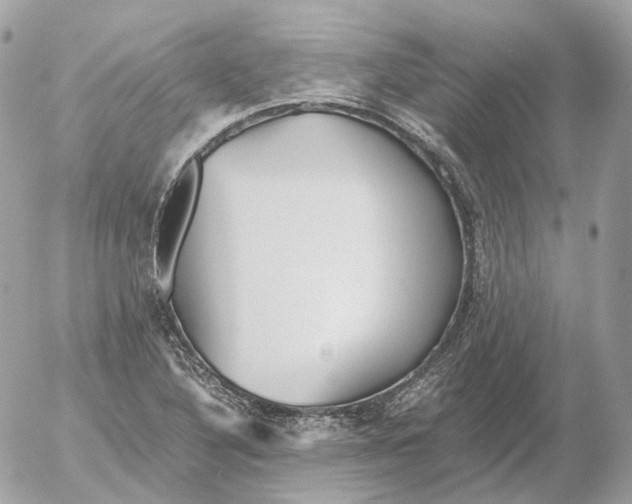 X0000052631316200507221740