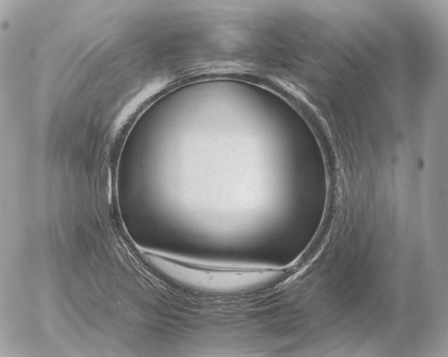 X0000052631317200507221740