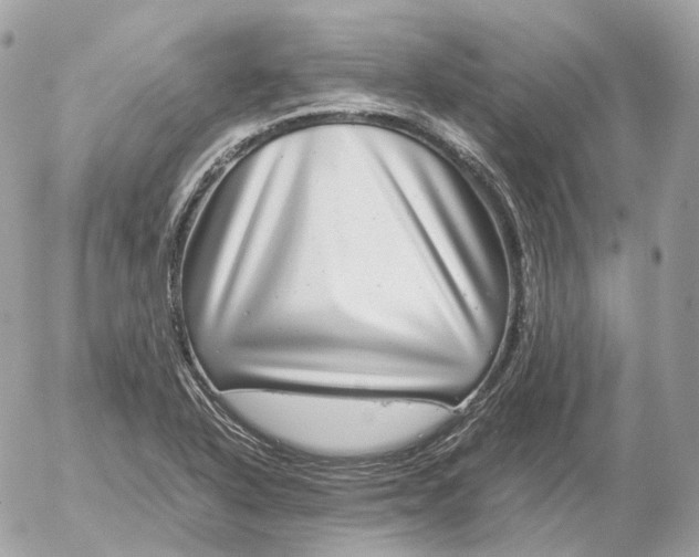 X0000052631318200507221740