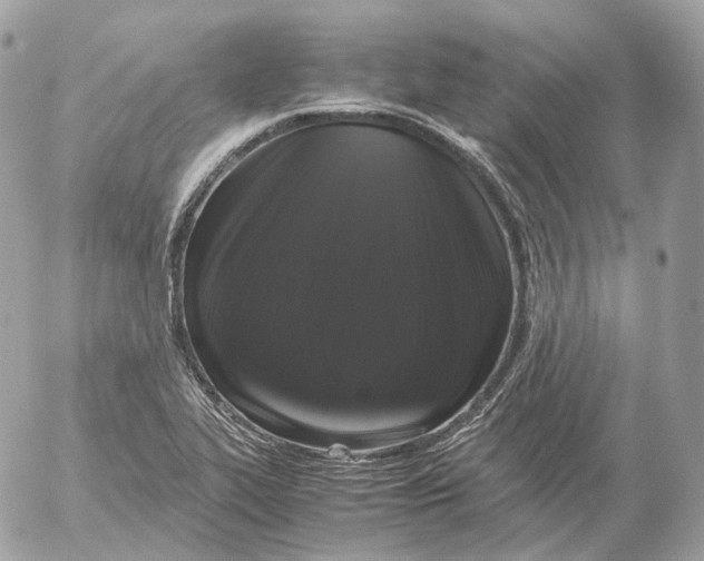 X0000052631319200507221740