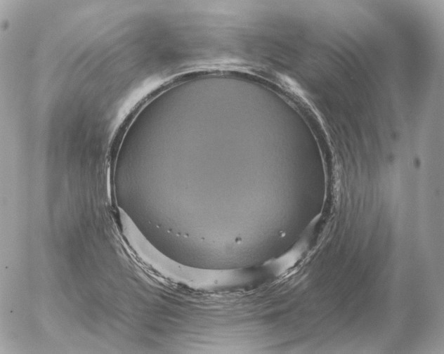 X0000052631320200507221740