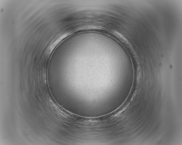 X0000052631321200507221740