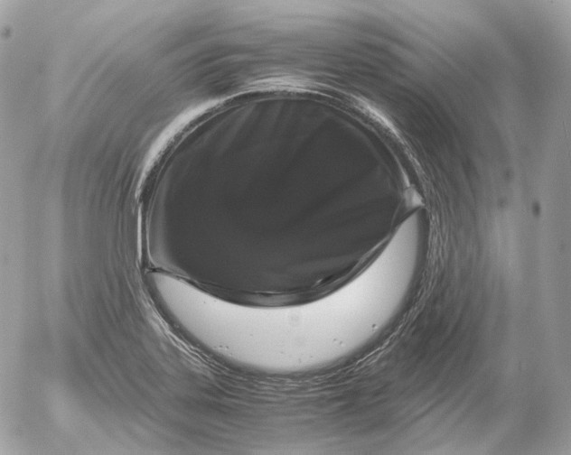 X0000052631323200507221740