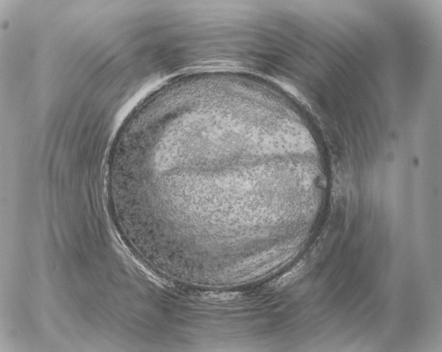 X0000052631325200507221740