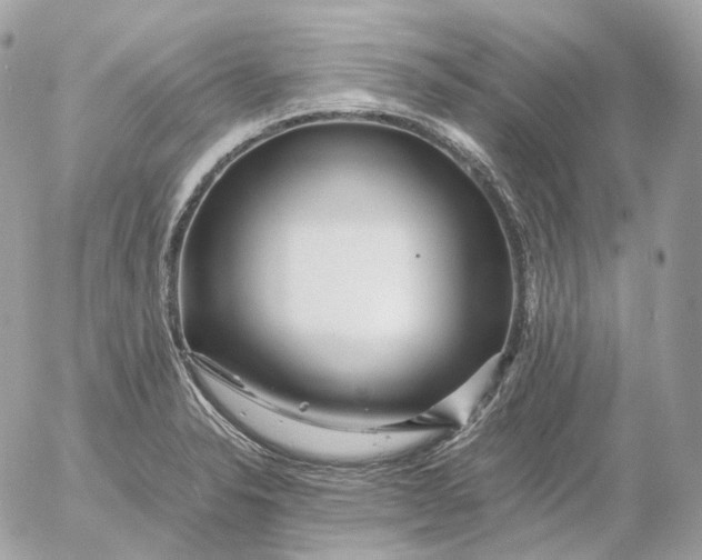 X0000052631326200507221740