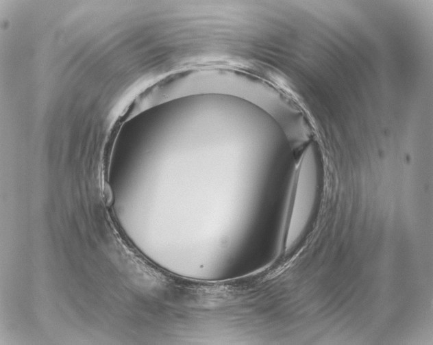 X0000052631328200507221740