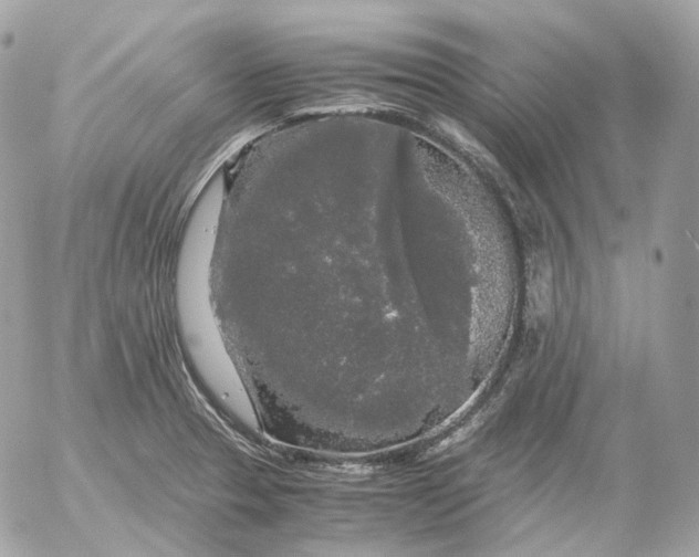 X0000052631329200507221740