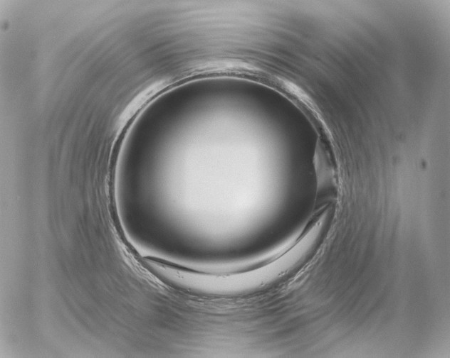 X0000052631330200507221740