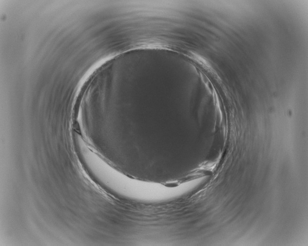 X0000052631331200507221740