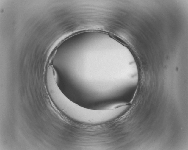 X0000052631332200507221740