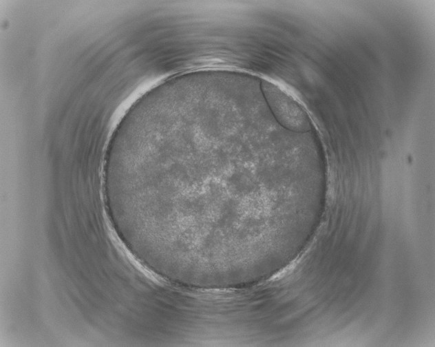 X0000052631333200507221740