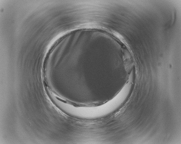 X0000052631334200507221740