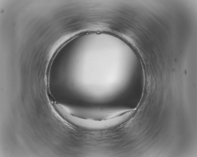 X0000052631335200507221740