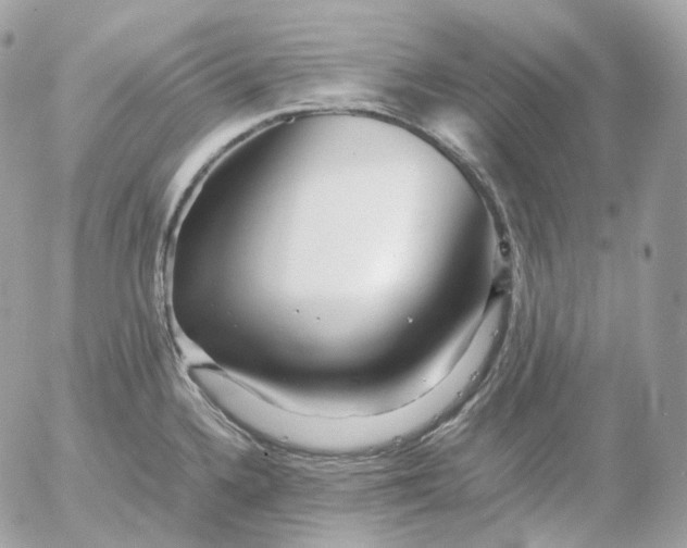 X0000052631336200507221740