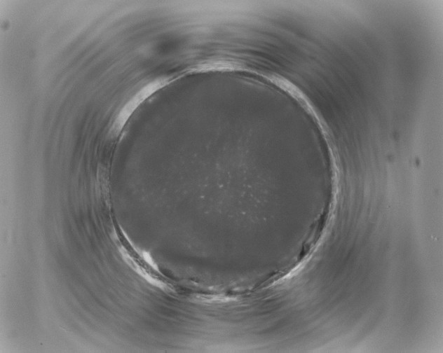 X0000052631337200507221740