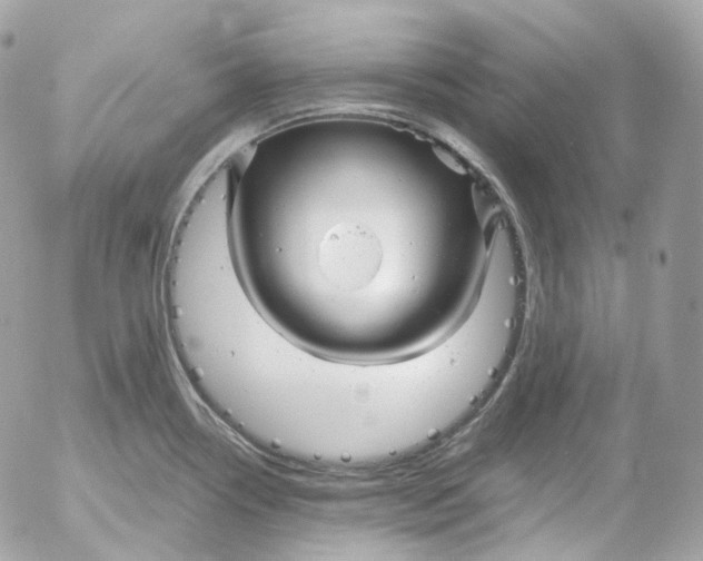 X0000052631338200507221740