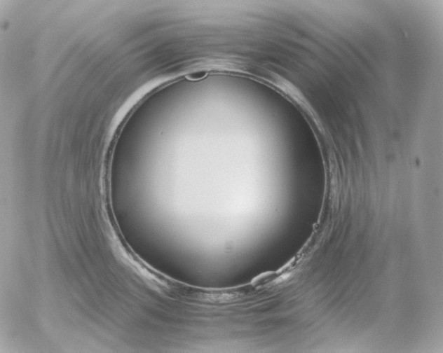 X0000052631339200507221740