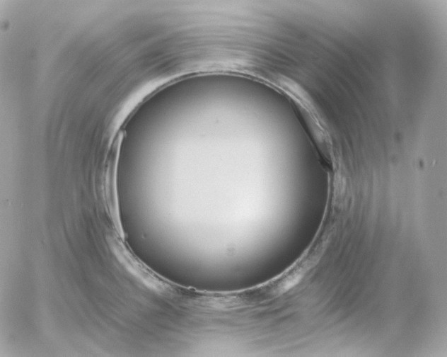 X0000052631340200507221740