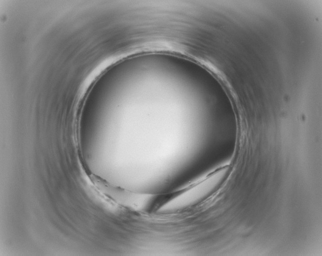 X0000052631342200507221740