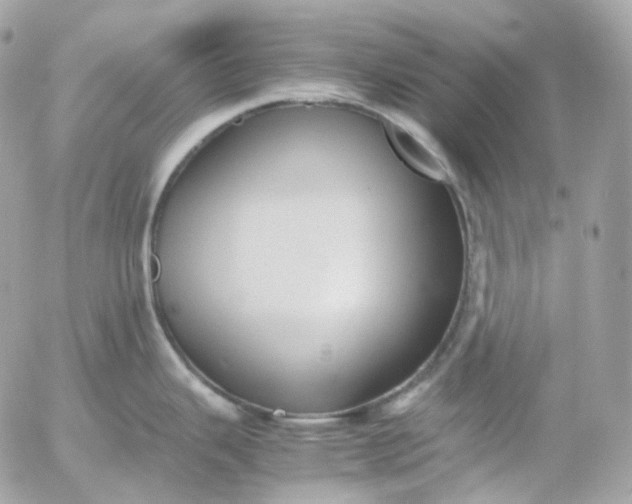 X0000052631343200507221740