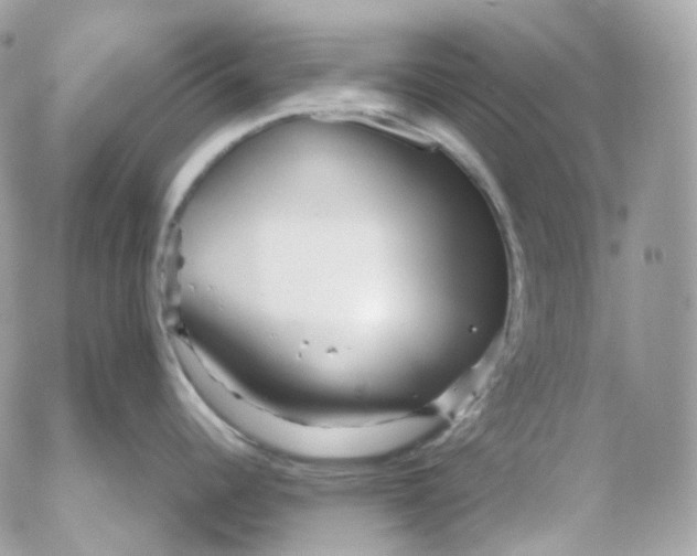 X0000052631344200507221740