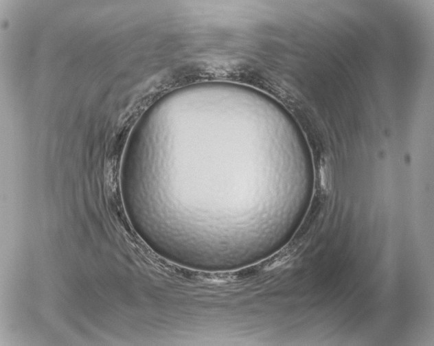 X0000052631347200507221739