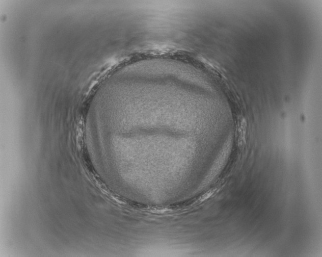 X0000052631349200507221739