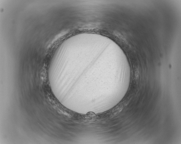 X0000052631350200507221739