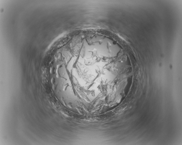 X0000052631351200507221739