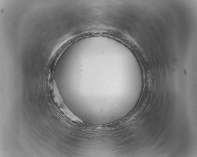 X0000052631352200507221739