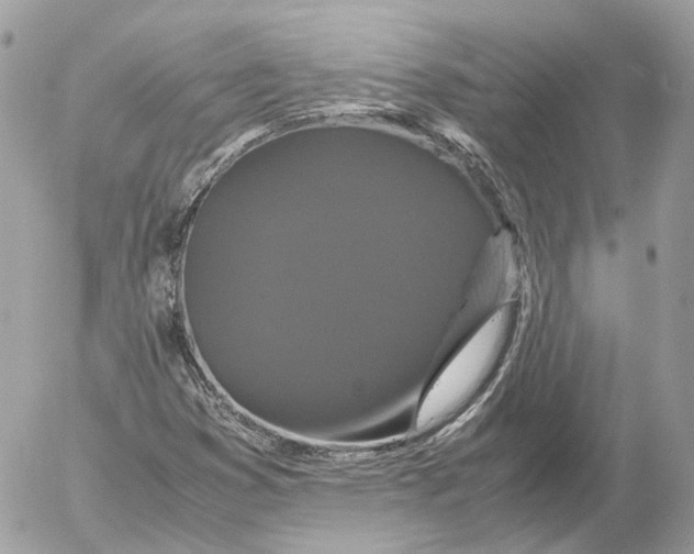 X0000052631353200507221739