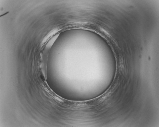 X0000052631354200507221739