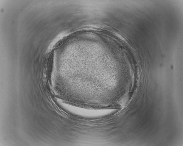 X0000052631355200507221739